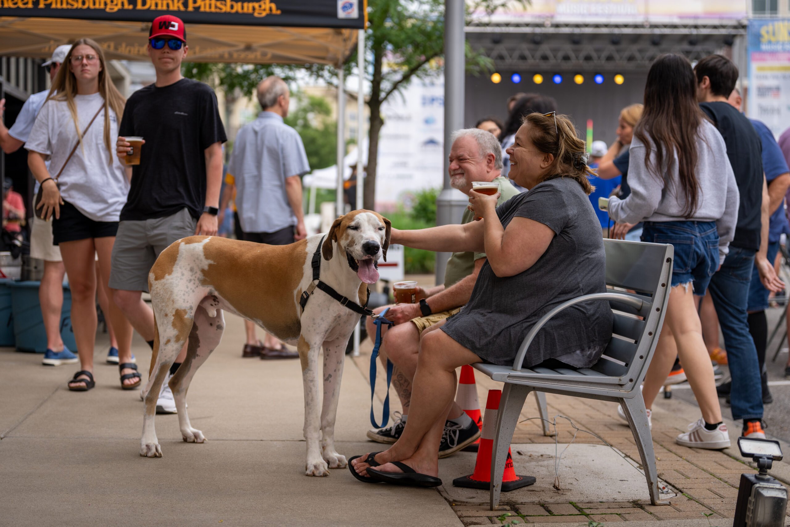 People gather outdoors at Sunset Music Fest; a large dog stands on the sidewalk, its tongue out. A woman sits on a bench petting the dog, while others walk or hold drinks. Tents and a stage hint at the live music filling the air.