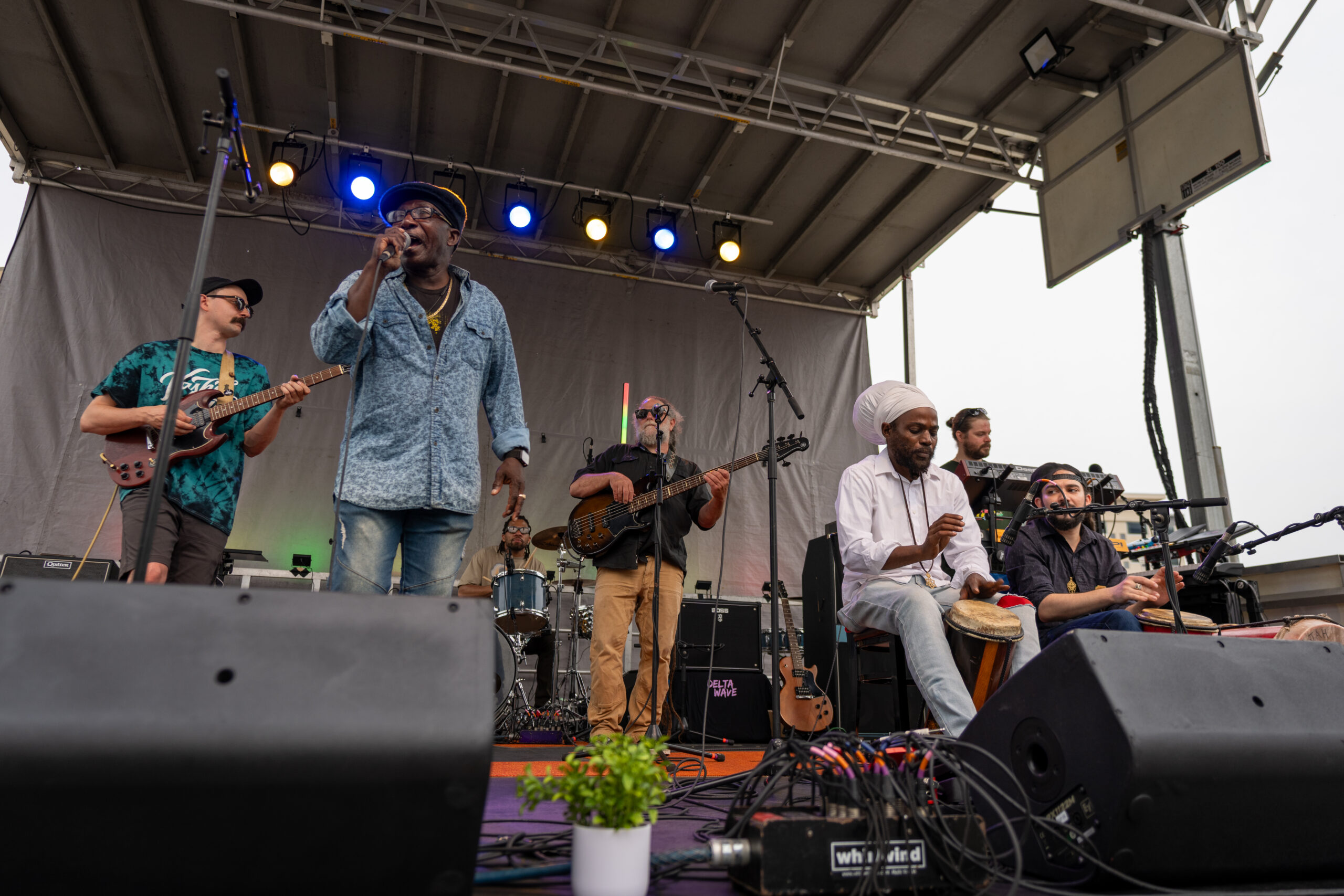 A band performs on an outdoor stage at the Canonsburg Live Music Festival, with six musicians playing guitar, bass, percussion, and drums. One man sings into a microphone while a small green potted plant sits at the front of the stage.